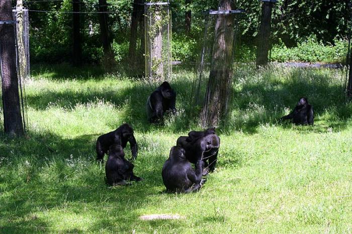 BurgersZooIMG_8104-1.jpg