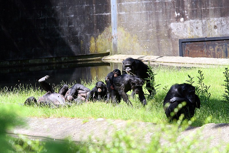 BurgersZooIMG_8148-1.jpg