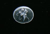 BurgersZooIMG_8210-1.jpg