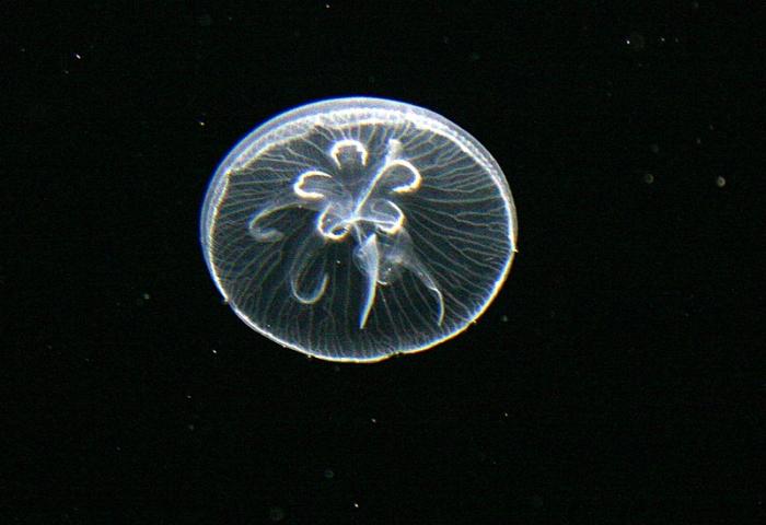 BurgersZooIMG_8210-1.jpg