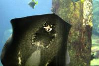 BurgersZooIMG_8239-1.jpg